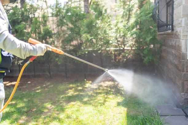 Best Lawn Pest Control  in Carlton, OR